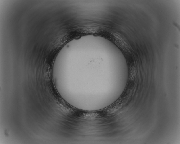 X0000097870414200803281206