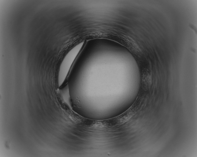 X0000097870416200803281206
