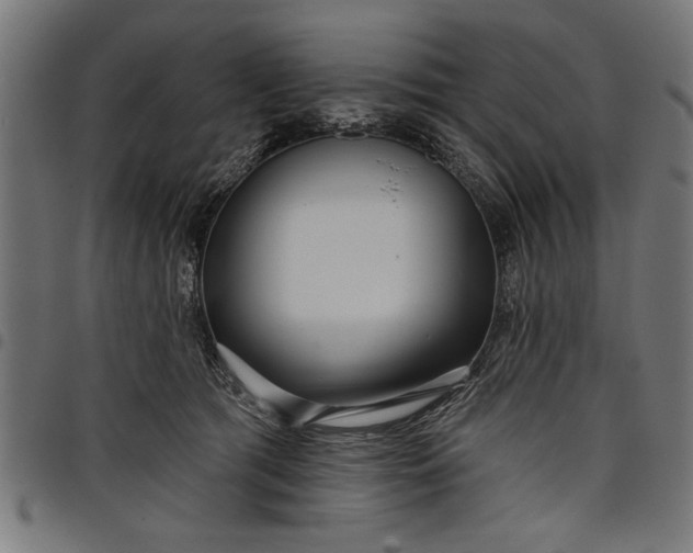 X0000097870417200803281206