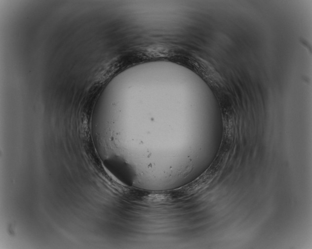 X0000097870418200803281206