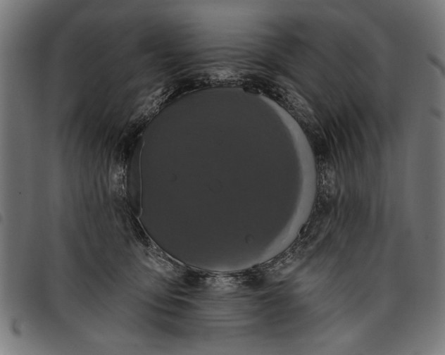 X0000097870419200803281206