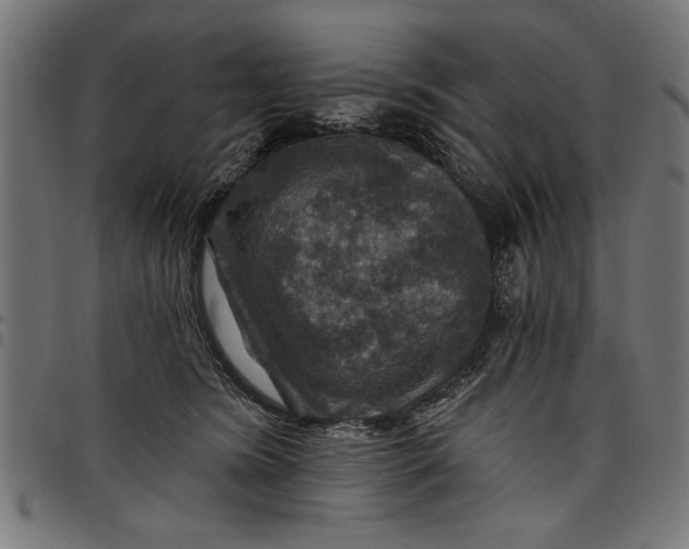 X0000097870420200803281206
