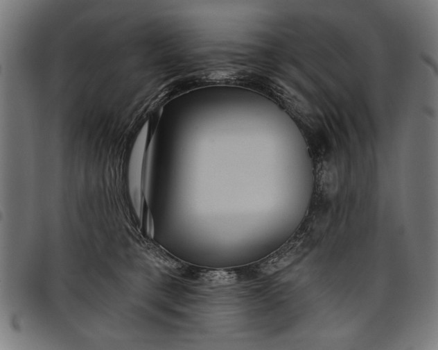 X0000097870421200803281206