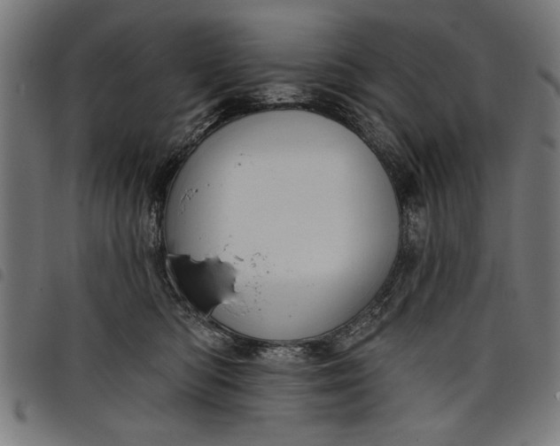 X0000097870422200803281206