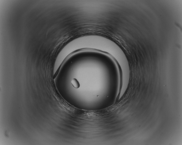 X0000097870423200803281206