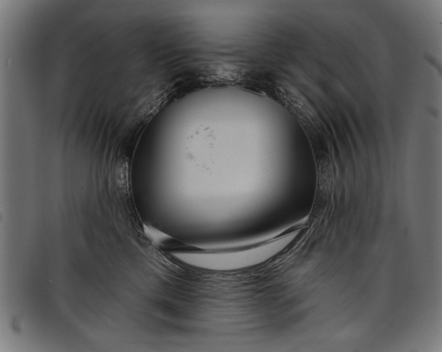 X0000097870425200803281206