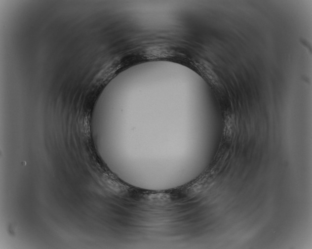 X0000097870426200803281206