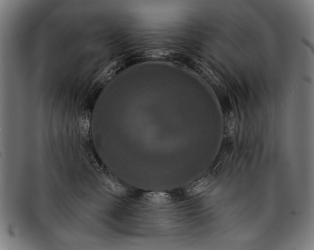 X0000097870427200803281206