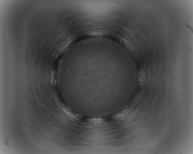 X0000097870428200803281206