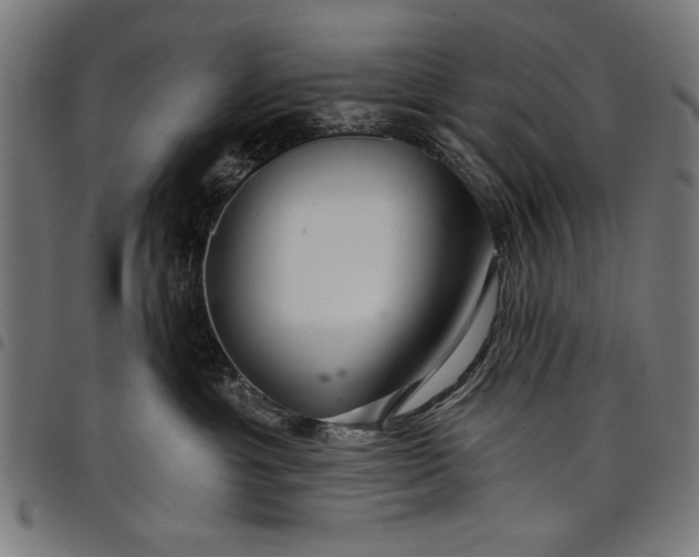 X0000097870429200803281206