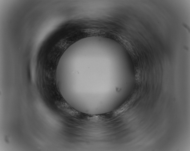 X0000097870430200803281206