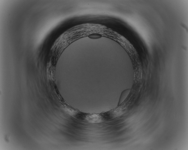 X0000097870431200803281206