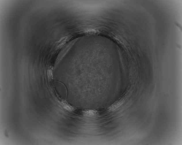 X0000097870432200803281206