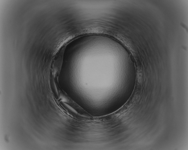 X0000097870434200803281205