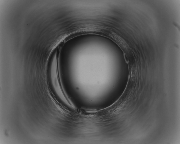 X0000097870436200803281205