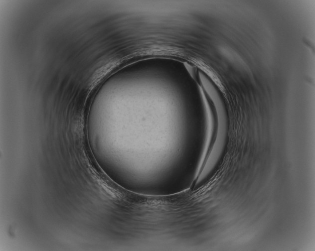 X0000097870437200803281205