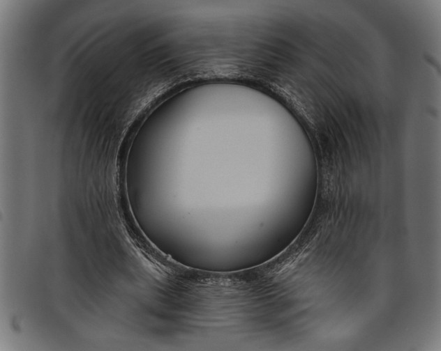 X0000097870439200803281205