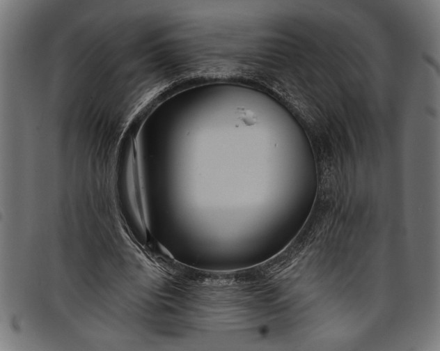 X0000097870440200803281205