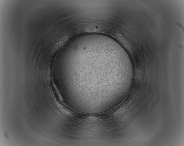 X0000097870441200803281205