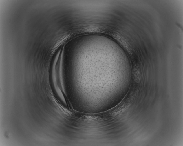 X0000097870442200803281205