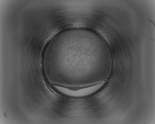 X0000097870443200803281205