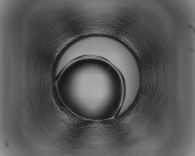 X0000097870444200803281205