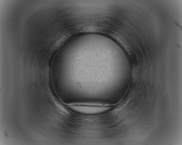 X0000097870445200803281205