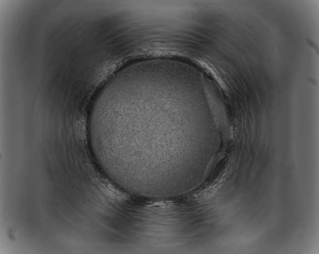 X0000097870447200803281205