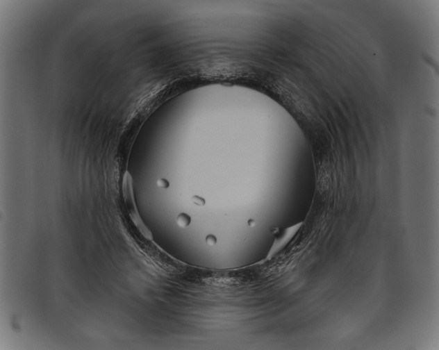 X0000097870448200803281205