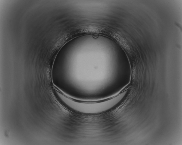 X0000097870449200803281205