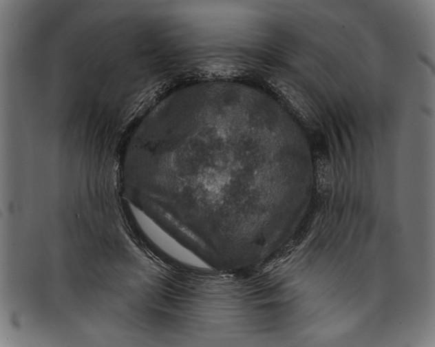 X0000097870451200803281205
