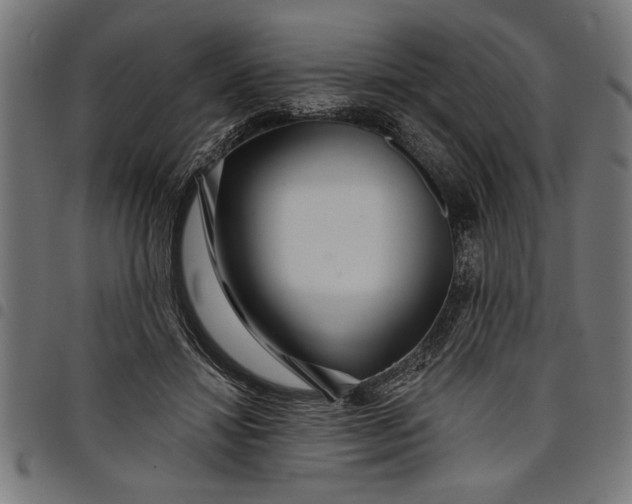 X0000097870452200803281205
