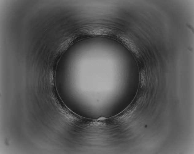 X0000097870453200803281205