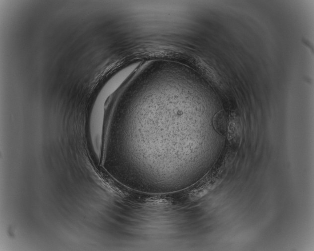 X0000097870454200803281205