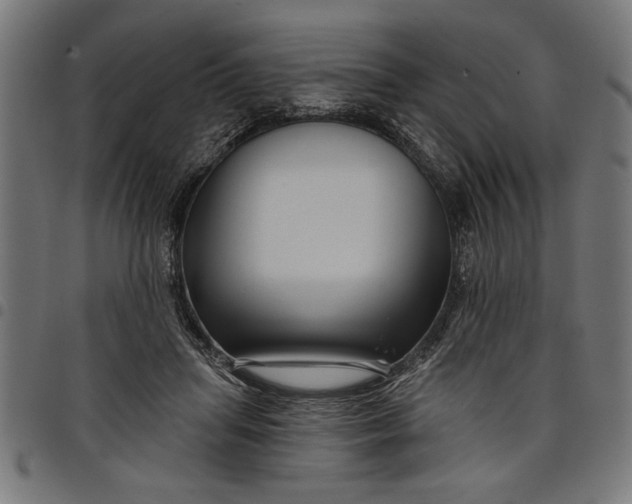X0000097870455200803281205