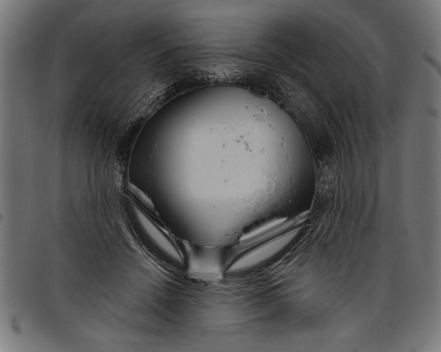 X0000097870456200803281205