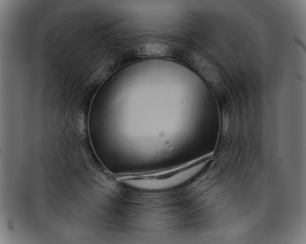 X0000097870457200803281205