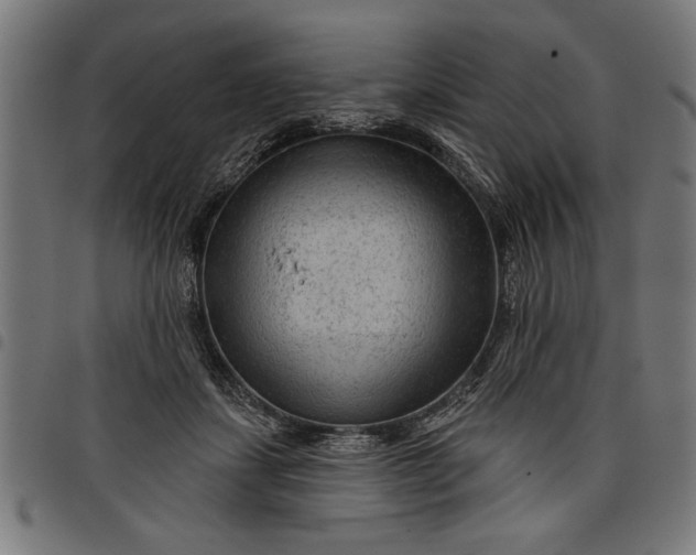 X0000097870459200803281205