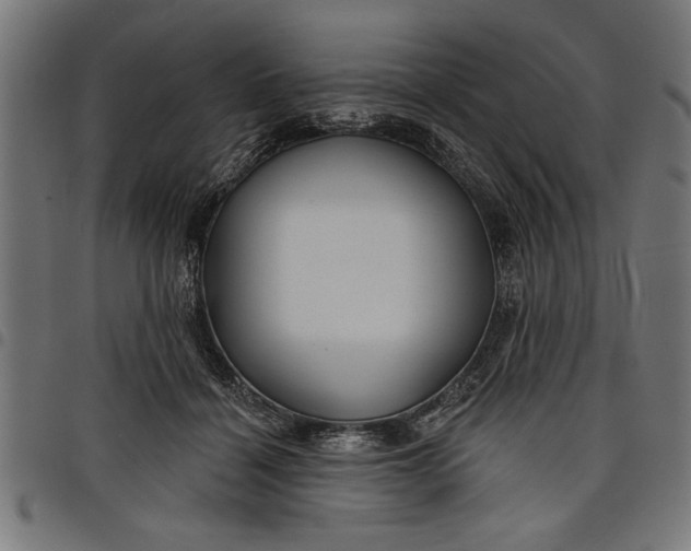 X0000097870460200803281205