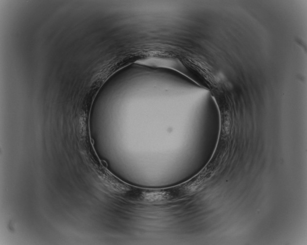 X0000097870461200803281205