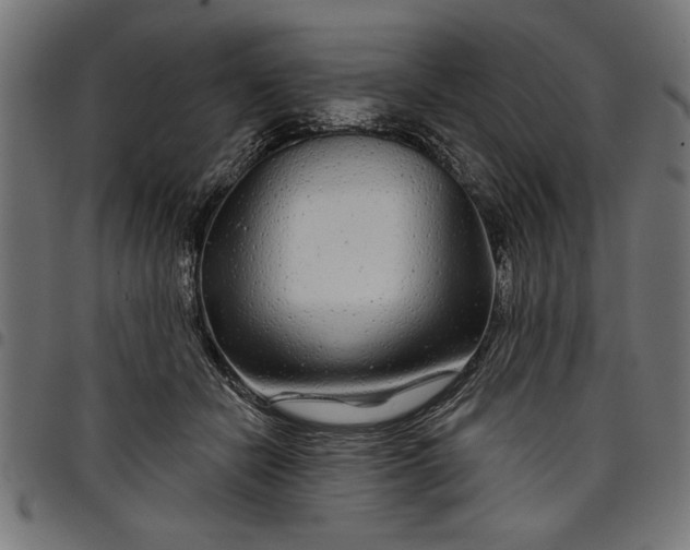 X0000097870462200803281205