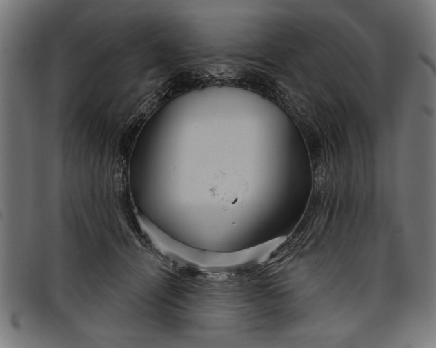 X0000097870464200803281205
