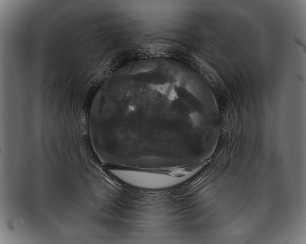 X0000097870465200803281205