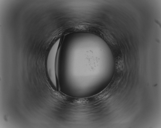 X0000097870466200803281205