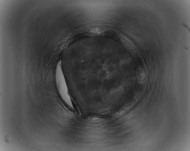 X0000097870467200803281205