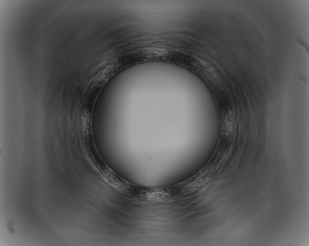 X0000097870468200803281205