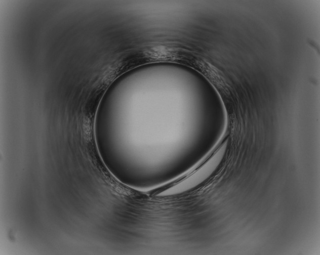 X0000097870469200803281205