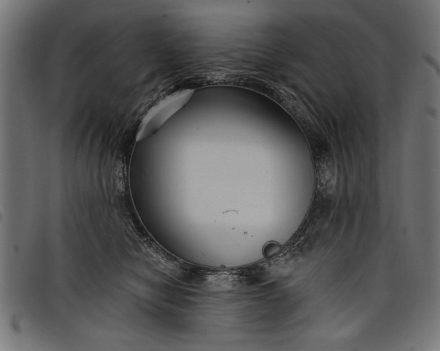 X0000097870470200803281205