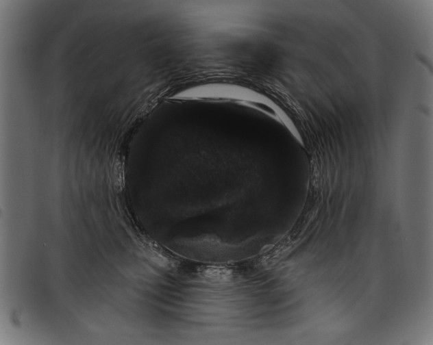 X0000097870471200803281205