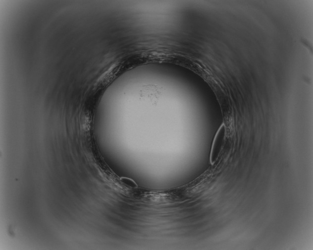X0000097870472200803281206